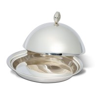 Срібна маслянка ХЮ-080726