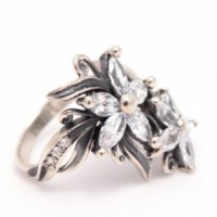 Серебряное кольцо бр-2111564