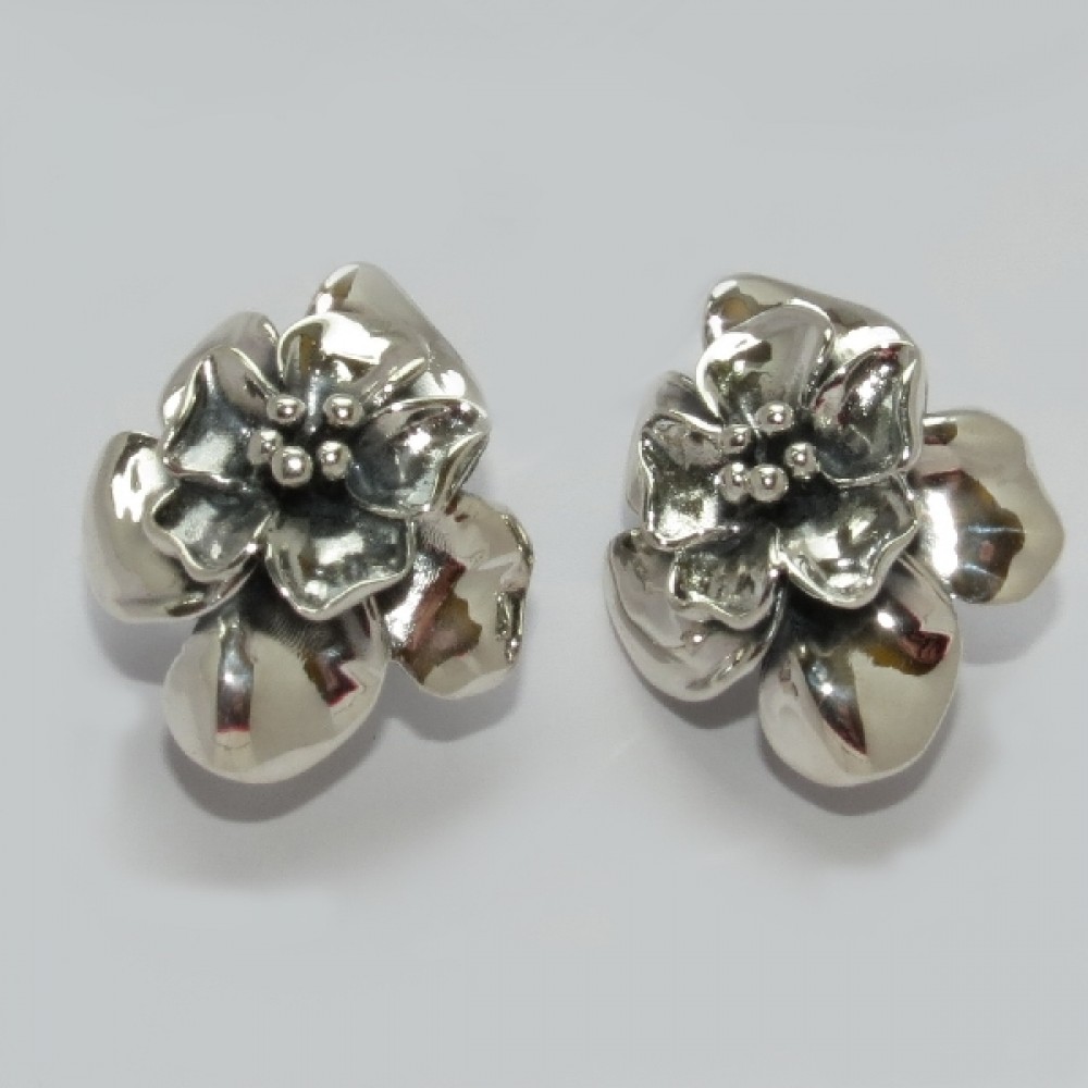 Серебряные серьги бр-00271