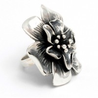 Срібна каблучка  «Алнаїр» без вставок БР-2100447