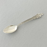 Срібна ложка для спецій СТЛ-16