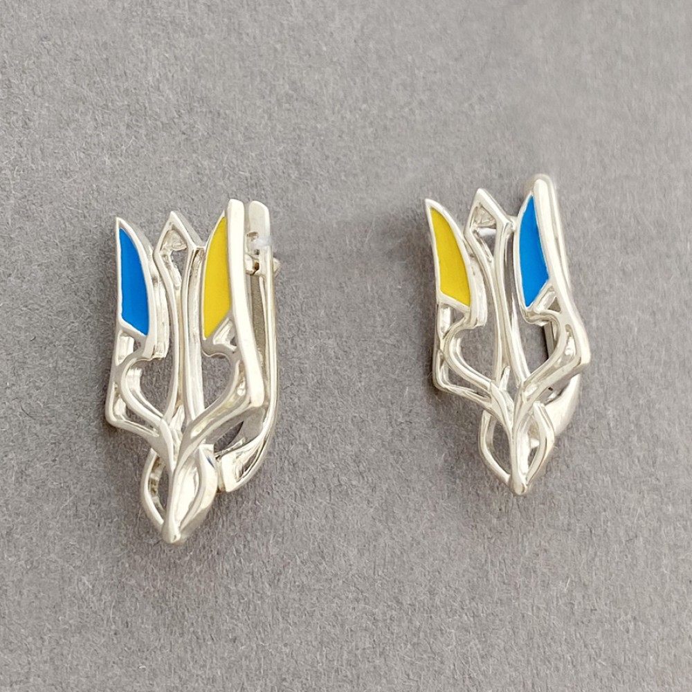 Срібні сережки з гербом України Ластівка БР-0046111
