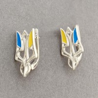 Срібні сережки з гербом України Ластівка БР-0046111